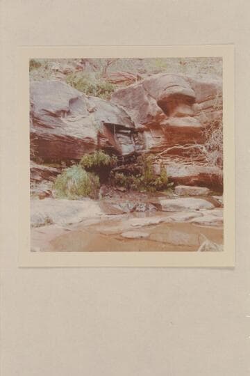 Melody or Melodic Spring.  Mile 1 on the left bank of the San Juan River