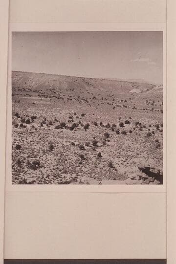 The riding stock arrives in Trail Canyon.  50 Mile Mountain appears on the skyline at upper right.  The trail to Rainbow Bridge goes over the ridge in middle distance