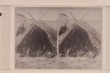 [print from a stereo] A Ai Nu Ints.  Nu Nu Shi Unt (The Dreamer)