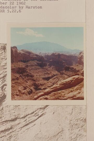 Up Nasja Creek to the junction with Bald Rock Creek.  Navajo Mountain in the distance