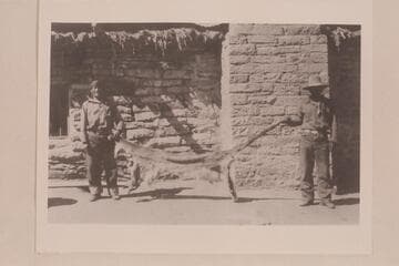 Lion killed 6 miles from Navajo Mountain Trading Post