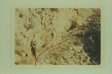 Trail into Quartermaster Canyon just below the rim