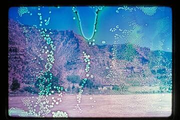 Desolation Canyon, June 1969