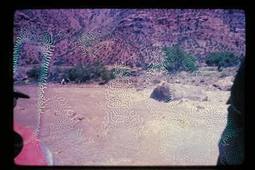 Desolation Canyon, June 1969
