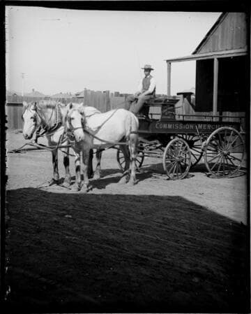 Man sitting on horse-drawn wagon painted with lettering: "Commission Merchants"
