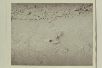 One of the Caltech boats in a small rapid below Waltenberg Rapid