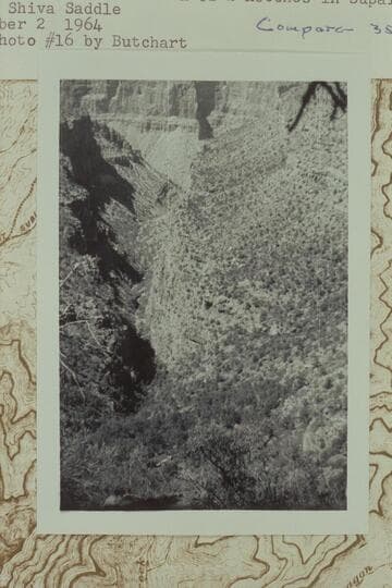 Down the arm of Dragon Creek which reaches east toward Shiva Saddle.  From below the top of Supai Formation.  Route down is the northern of 2 notches in Supai rim at the south end of Shiva Saddle