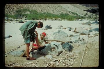 Beer and Atherton; Whitmore Beach