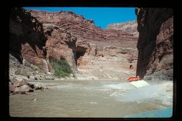 "Wee Red" approaches Vasey's Paradise
