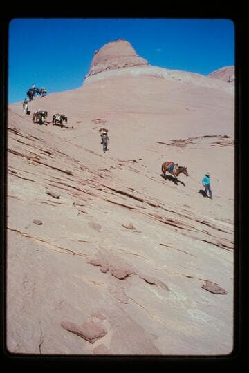 Trail off top into basin north of Sid Whiskers Butte