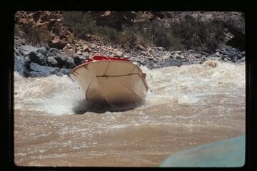 "Wee Red" thrown out of Vulcan Rapids