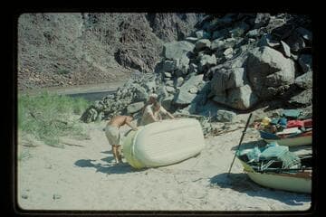Yaks, camp of Diamond Creek