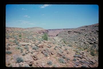 Down an easterly fork of Cha Creek