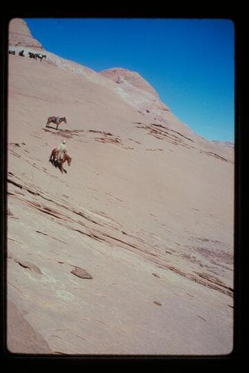 Sid Whiskers rides off top