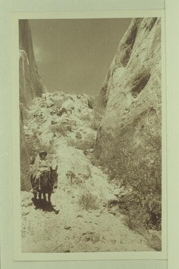 Trail through Redbud Pass