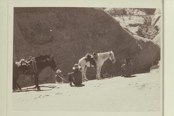 At top of slick rock drop into head of the northeast fork of 73.6