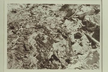 Oil seep at Bennett's old camp.  Free oil running from crevice below pipe