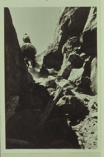 Trail through Red Bud Pass