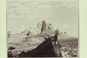 [on photo reverse:  FE-138]