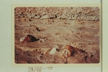 Jean and Hal Bennett in Gypsum Rapid