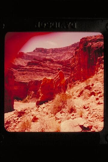 Doerr; Vasey's Paradise