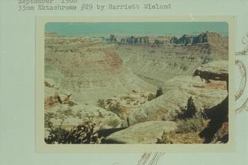Up Cataract Canyon from the rim near the top of the trail out of Spanish Bottom