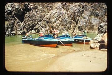 Cactus, Bootoo, and Rattlesnake