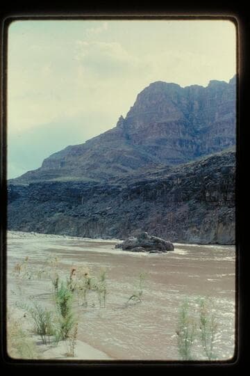 Head of 217 Mile Rapids