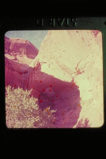 [Frank Masland eating peaches]