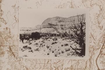 Head of Teapot Canyon.  Bill Racy mounted on Captain