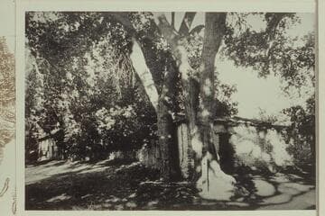 Old Mormon Fort at Las Vegas