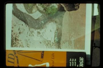 Dories moored at the mouth of Tapeats Creek