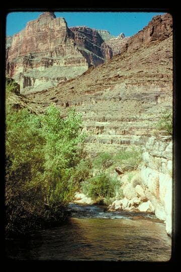 Down Tapeats Creek from above The Box
