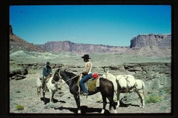 Across Horsethief Canyon near its mouth