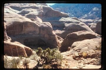 Up into Surprise Valley from trail to northeast fork 73