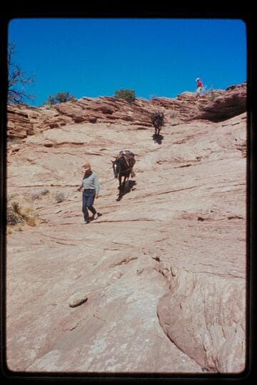 Leading stock into head of northeast fork of 73