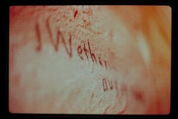 Rainbow Bridge; Wetherill inscription in crack of boulder