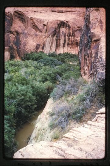 Entrance to canyon at Mile 71.5