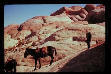 Trail from Black Water Creek to Moepitz