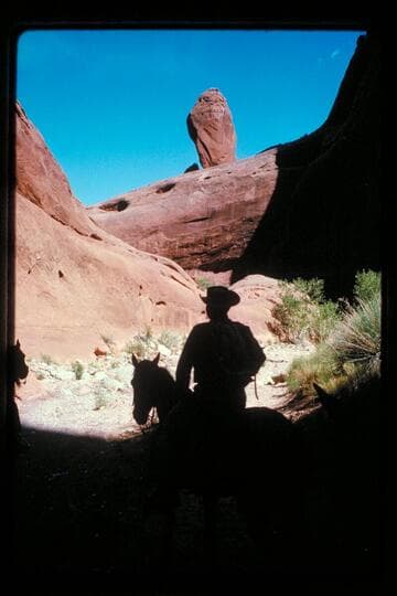 Lower end of Miller's Canyon, tributary to Halls Creek