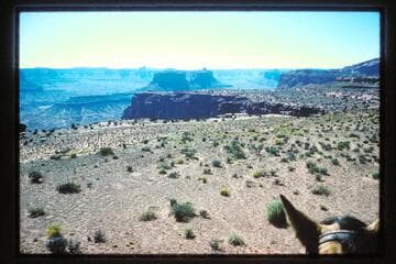 Millard Canyon; Cleopatra's Chair
