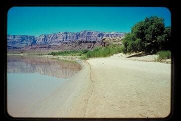 Beach opposite fort; Lees Ferry, prel. gauge 5850 cfs