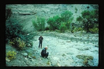 Flood; Masland, Johnson