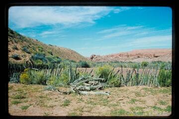 Corral; Roost Canyon