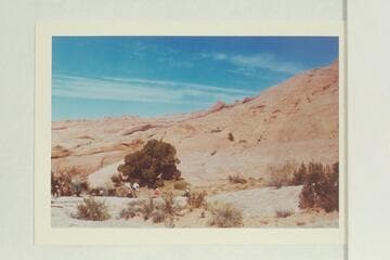 Base camp north of 73.  The pack string has just arrived