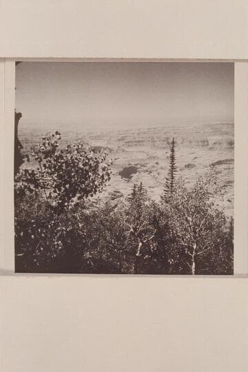 Glen Canyon; Forbidding Canyon; Bridge Canyon; Rainbow Bridge.  From top of Navajo Mountain