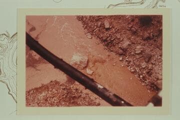 President Harding Rapid