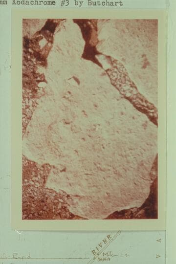 Stone markings in gulch at Mile 24.7, south rim