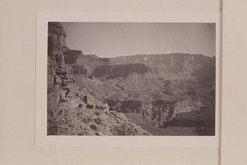 Pack string on the Kaibab Trail