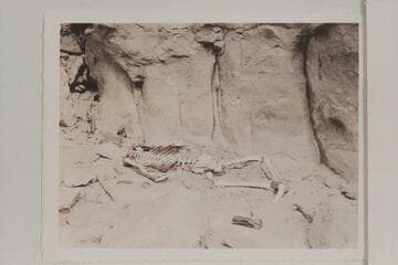 The skeleton at Paradise Canyon--Marble Canyon